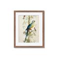 Picture of Five Birds _GroupedProduct_Rectangle_Portrait_Framed_Matted_