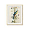 Picture of Five Birds _GroupedProduct_Rectangle_Portrait_Framed_Matted_
