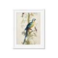 Picture of Five Birds _GroupedProduct_Rectangle_Portrait_Framed_Matted_