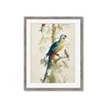 Picture of Five Birds _GroupedProduct_Rectangle_Portrait_Framed_Matted_