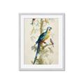 Picture of Five Birds _GroupedProduct_Rectangle_Portrait_Framed_Matted_
