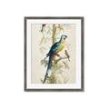 Picture of Five Birds _GroupedProduct_Rectangle_Portrait_Framed_Matted_
