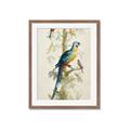 Picture of Five Birds _GroupedProduct_Rectangle_Portrait_Framed_Matted_