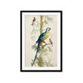 Picture of Five Birds _GroupedProduct_Rectangle_Portrait_Framed_Matted_