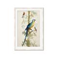 Picture of Five Birds _GroupedProduct_Rectangle_Portrait_Framed_Matted_