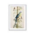 Picture of Five Birds _GroupedProduct_Rectangle_Portrait_Framed_Matted_