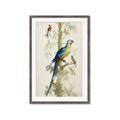 Picture of Five Birds _GroupedProduct_Rectangle_Portrait_Framed_Matted_