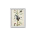 Picture of Six Birds _GroupedProduct_Rectangle_Portrait_Framed_Matted_