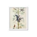 Picture of Six Birds _GroupedProduct_Rectangle_Portrait_Framed_Matted_