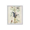 Picture of Six Birds _GroupedProduct_Rectangle_Portrait_Framed_Matted_