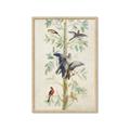 Picture of Six Birds _GroupedProduct_Rectangle_Portrait_Framed_Matted_