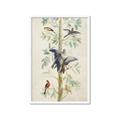 Picture of Six Birds _GroupedProduct_Rectangle_Portrait_Framed_Matted_