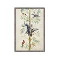Picture of Six Birds _GroupedProduct_Rectangle_Portrait_Framed_Matted_