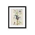 Picture of Six Birds _GroupedProduct_Rectangle_Portrait_Framed_Matted_