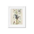 Picture of Six Birds _GroupedProduct_Rectangle_Portrait_Framed_Matted_