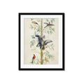 Picture of Six Birds _GroupedProduct_Rectangle_Portrait_Framed_Matted_