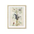 Picture of Six Birds _GroupedProduct_Rectangle_Portrait_Framed_Matted_