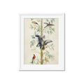 Picture of Six Birds _GroupedProduct_Rectangle_Portrait_Framed_Matted_