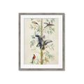 Picture of Six Birds _GroupedProduct_Rectangle_Portrait_Framed_Matted_