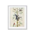 Picture of Six Birds _GroupedProduct_Rectangle_Portrait_Framed_Matted_