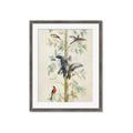 Picture of Six Birds _GroupedProduct_Rectangle_Portrait_Framed_Matted_