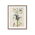 Picture of Six Birds _GroupedProduct_Rectangle_Portrait_Framed_Matted_