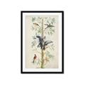 Picture of Six Birds _GroupedProduct_Rectangle_Portrait_Framed_Matted_