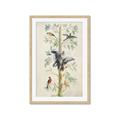 Picture of Six Birds _GroupedProduct_Rectangle_Portrait_Framed_Matted_