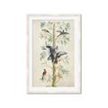 Picture of Six Birds _GroupedProduct_Rectangle_Portrait_Framed_Matted_