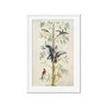 Picture of Six Birds _GroupedProduct_Rectangle_Portrait_Framed_Matted_