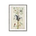 Picture of Six Birds _GroupedProduct_Rectangle_Portrait_Framed_Matted_