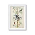 Picture of Six Birds _GroupedProduct_Rectangle_Portrait_Framed_Matted_