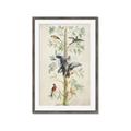Picture of Six Birds _GroupedProduct_Rectangle_Portrait_Framed_Matted_