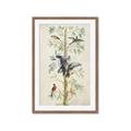 Picture of Six Birds _GroupedProduct_Rectangle_Portrait_Framed_Matted_