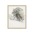 Picture of Trees on a Hill _GroupedProduct_Rectangle_Portrait_Framed_Matted_