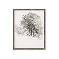 Picture of Trees on a Hill _GroupedProduct_Rectangle_Portrait_Framed_Matted_