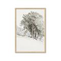 Picture of Trees on a Hill _GroupedProduct_Rectangle_Portrait_Framed_Matted_