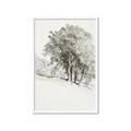 Picture of Trees on a Hill _GroupedProduct_Rectangle_Portrait_Framed_Matted_