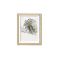 Picture of Trees on a Hill _GroupedProduct_Rectangle_Portrait_Framed_Matted_
