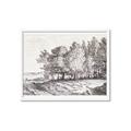 Picture of Windy Trees _GroupedProduct_Rectangle_Landscape_Framed_Matted_