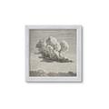Picture of Sketched Clouds _GroupedProduct_Square_Framed_Matted_
