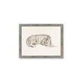 Picture of Tiger Time _GroupedProduct_Rectangle_Landscape_Framed_Matted_