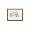 Picture of Tiger Time _GroupedProduct_Rectangle_Landscape_Framed_Matted_