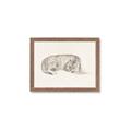 Picture of Tiger Time _GroupedProduct_Rectangle_Landscape_Framed_Matted_