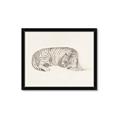 Picture of Tiger Time _GroupedProduct_Rectangle_Landscape_Framed_Matted_