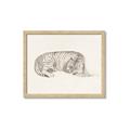 Picture of Tiger Time _GroupedProduct_Rectangle_Landscape_Framed_Matted_