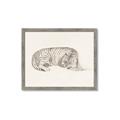 Picture of Tiger Time _GroupedProduct_Rectangle_Landscape_Framed_Matted_