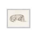 Picture of Tiger Time _GroupedProduct_Rectangle_Landscape_Framed_Matted_