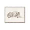 Picture of Tiger Time _GroupedProduct_Rectangle_Landscape_Framed_Matted_