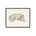 Picture of Tiger Time _GroupedProduct_Rectangle_Landscape_Framed_Matted_